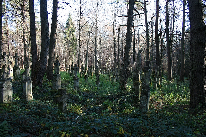 Rostoczek 11.2008 384
